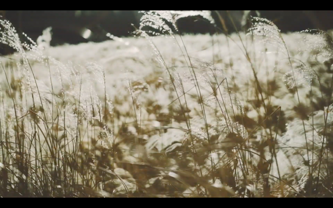 spread_the_branches Episode 008